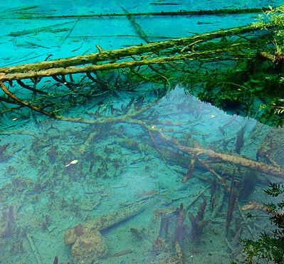 粉象生活退货佣金还给吗