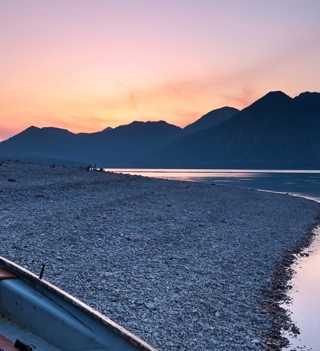 粉象生活下载app