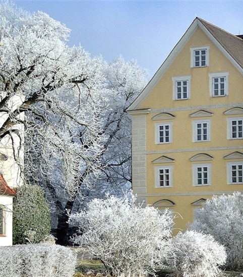 粉象生活加入会员后怎么推广