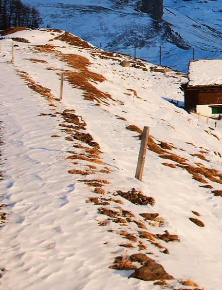 粉象生活怎么加入小红书