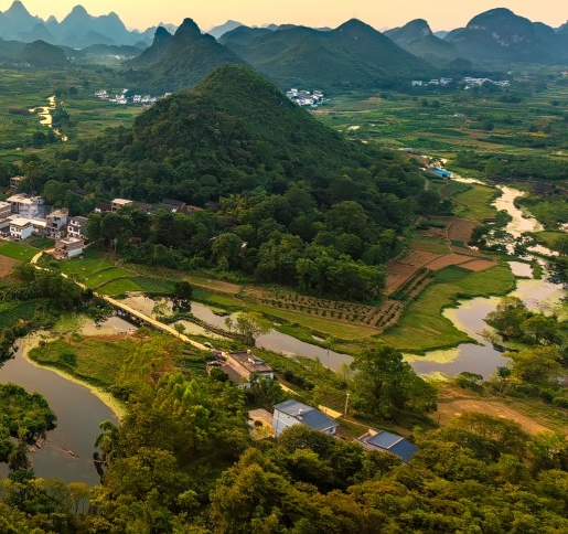 粉象生活怎么卖