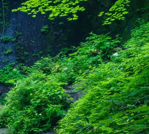 亳州粉象生活app