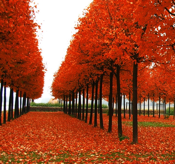 粉象生活怎么养号