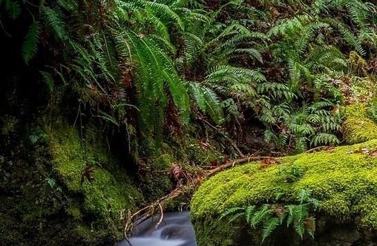 粉象生活推广一个人赚多少钱