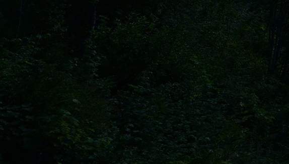 下载粉象生活怎么赚钱