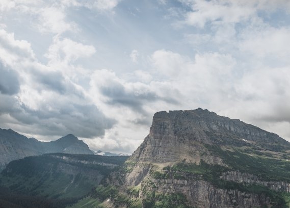 粉象生活什么app