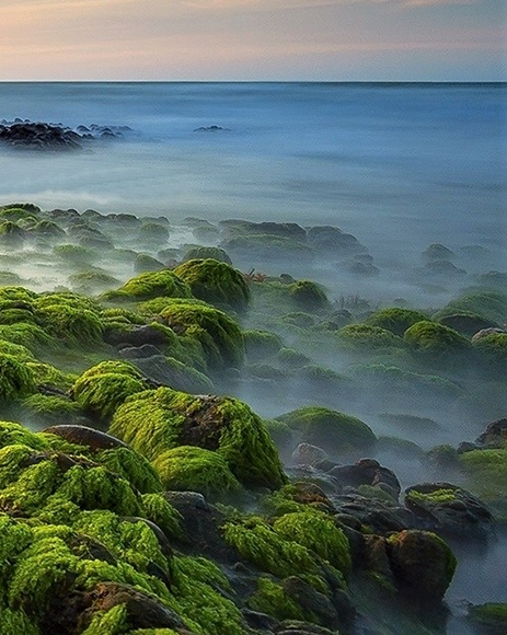 粉象生活是什么?