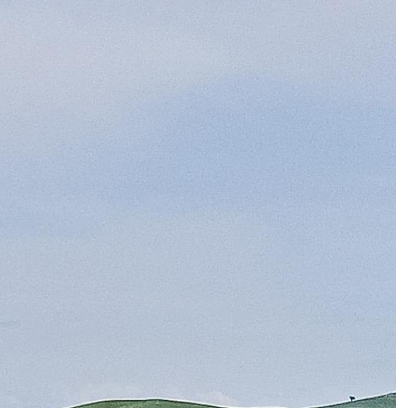 粉象生活怎么去推广