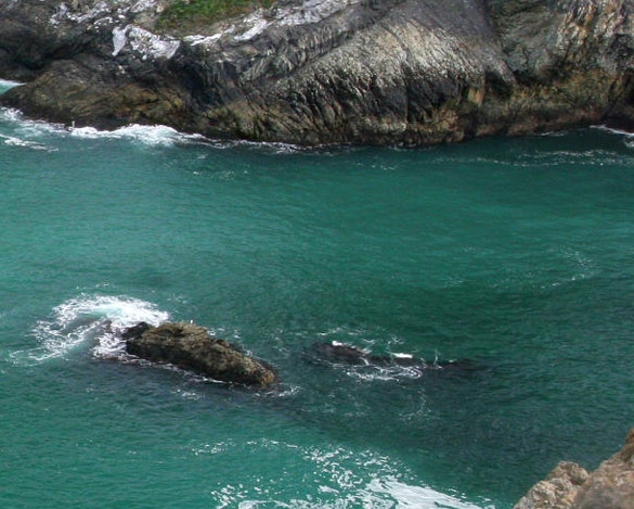 粉象生活赚钱教程