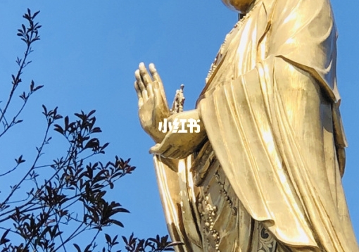 粉象生活合法吗