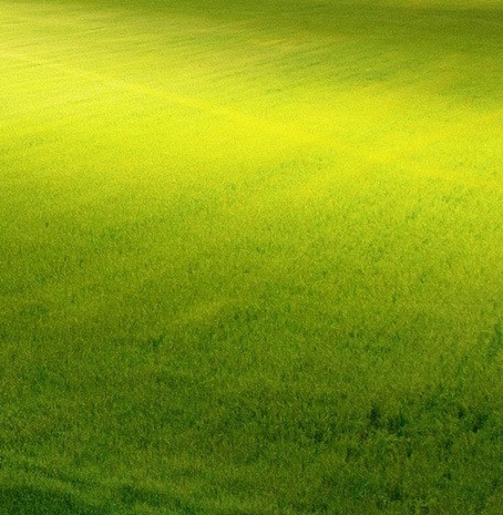 粉象生活一天能赚多少