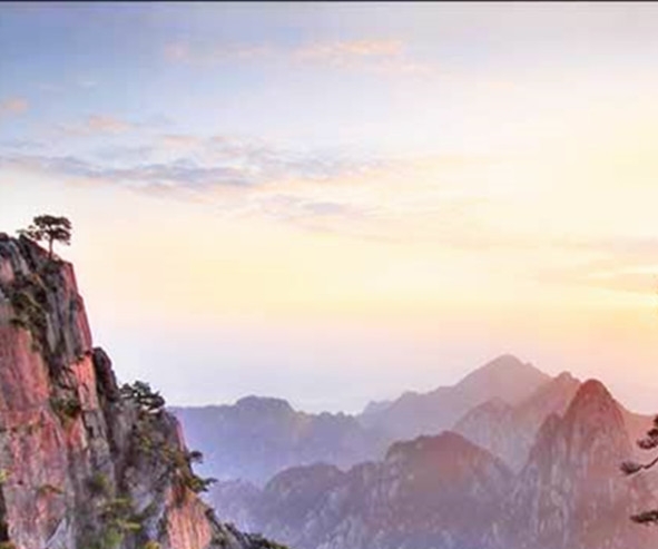 粉象生活下载app