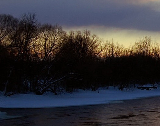 粉象生活海报图片