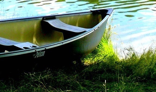 粉象生活下载app