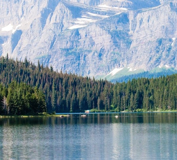 粉象生活怎样代理