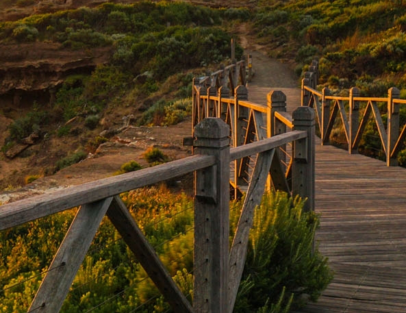 选择粉象生活可靠吗