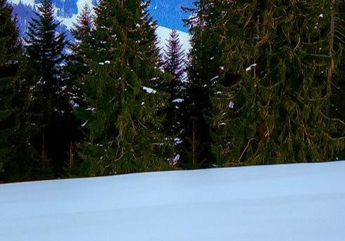 粉象生活邀请码