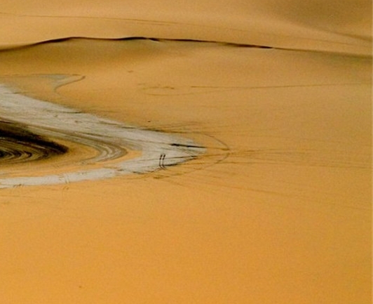 粉象生活保险可靠吗