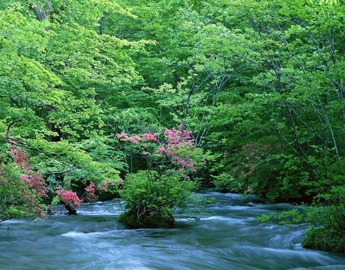 粉象生活怎么做的