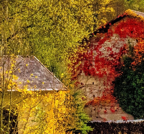 粉象生活能赚到钱吗