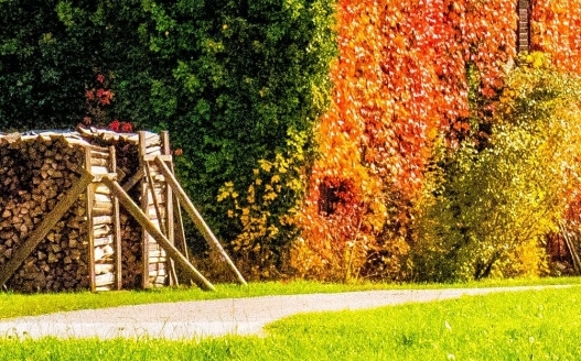 粉象生活如何推广