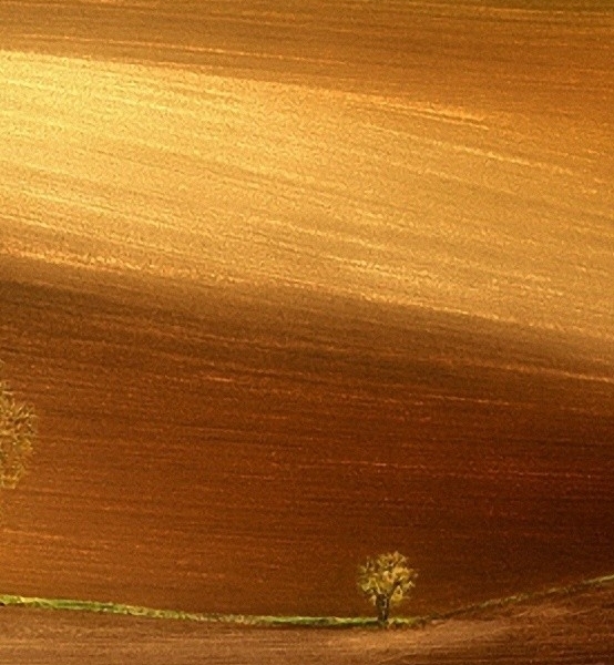 粉象生活邀请码