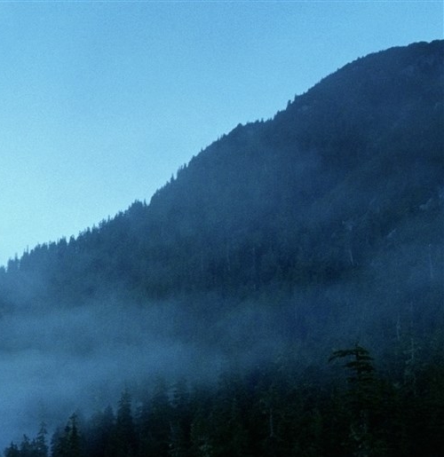 粉象生活 空气炸锅