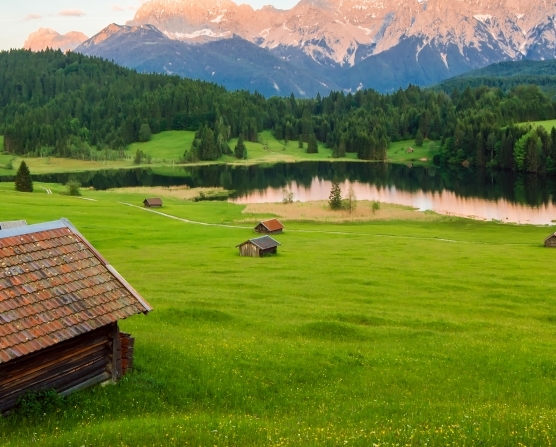 粉象生活下载app