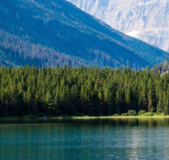 甜象适合湖南种吗