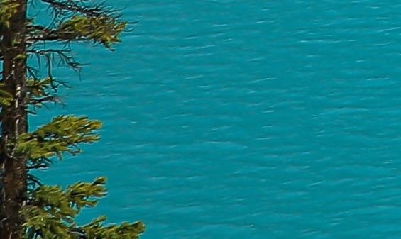 粉象生活赚钱教程