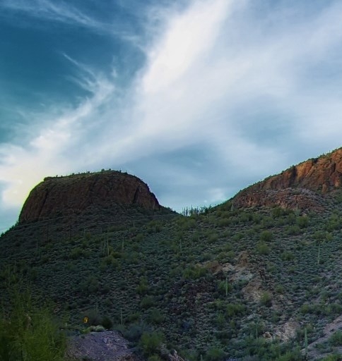 粉象生活怎么赚钱?操作一个月收入3