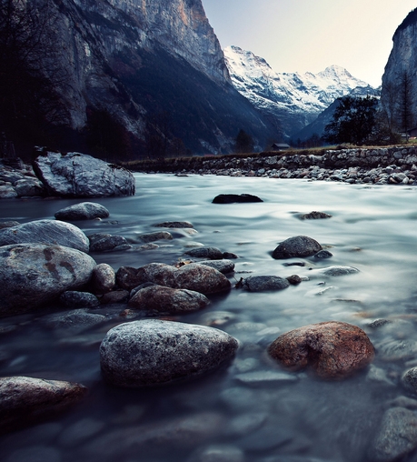 吉林口碑粉象生活软件