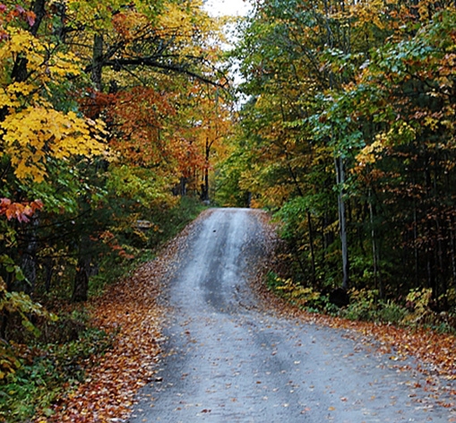 粉象生活普通会员能拿佣金吗