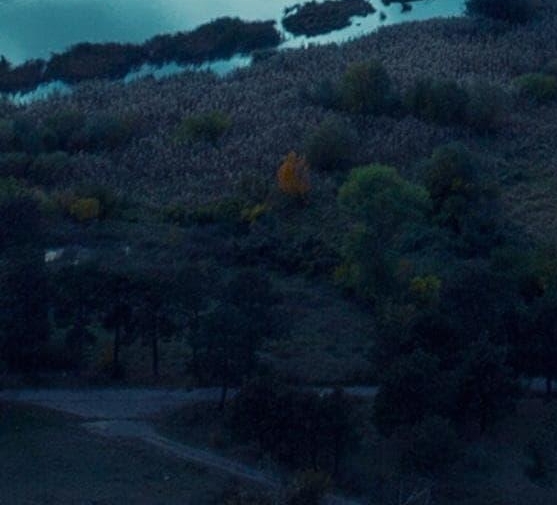 菏泽粉象生活加盟靠谱不