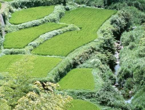 粉象生活怎么赚钱