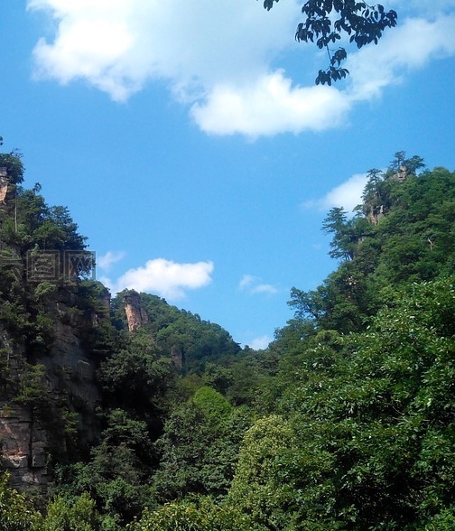 粉象世界最新版