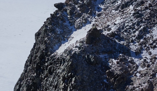 粉象生活需要推广多长时间