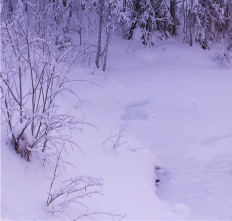 下载粉象生活的必要性