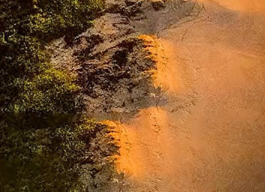 粉象生活充值手机