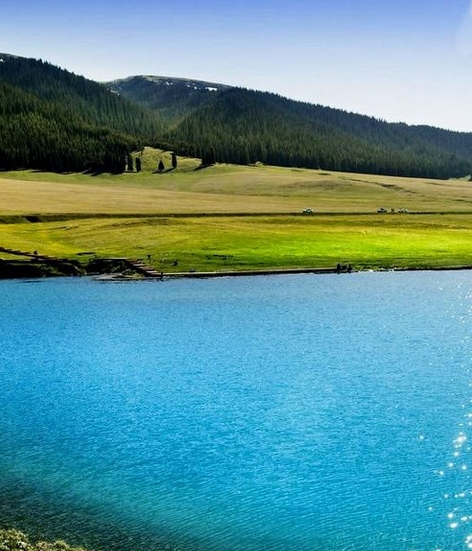 粉象生活app手机