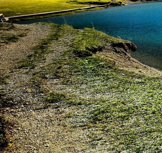 辽宁运营粉象生活是什么