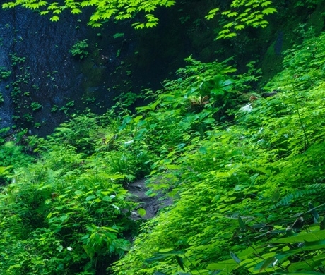 粉象生活天一团队
