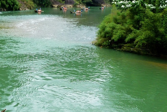 粉象生活怎么看上级邀请码