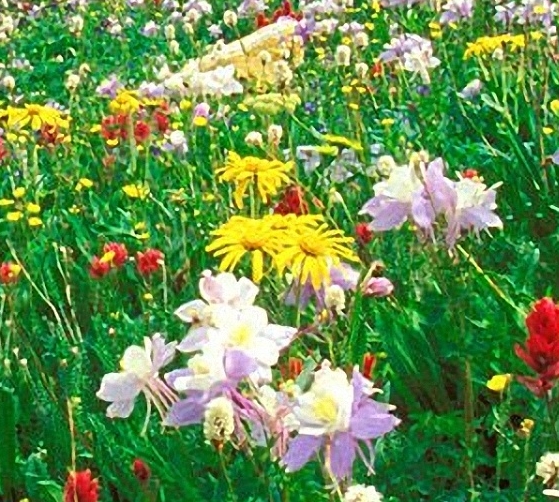 粉象生活app靠谱吗