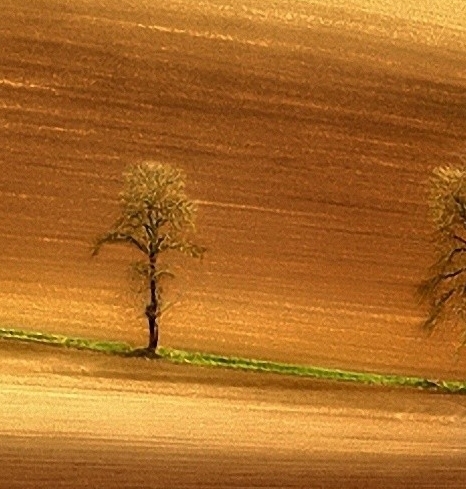 粉象生活怎么赚钱的