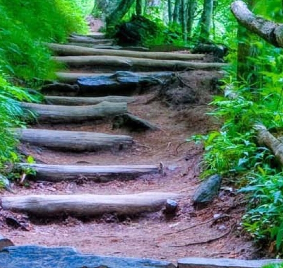 广东粉象生活赚钱