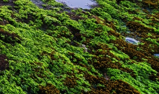 广东粉象生活如何使用