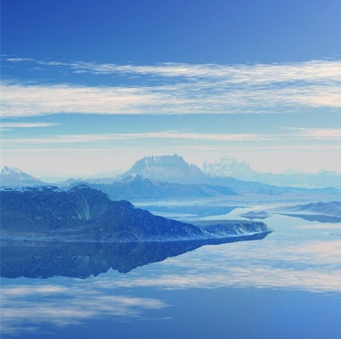 粉象生活创业观后感