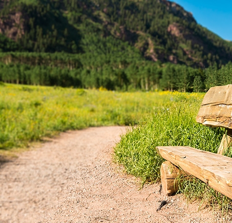 广东粉象生活合伙人
