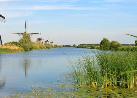 粉象生活是什么东西,真的靠谱吗